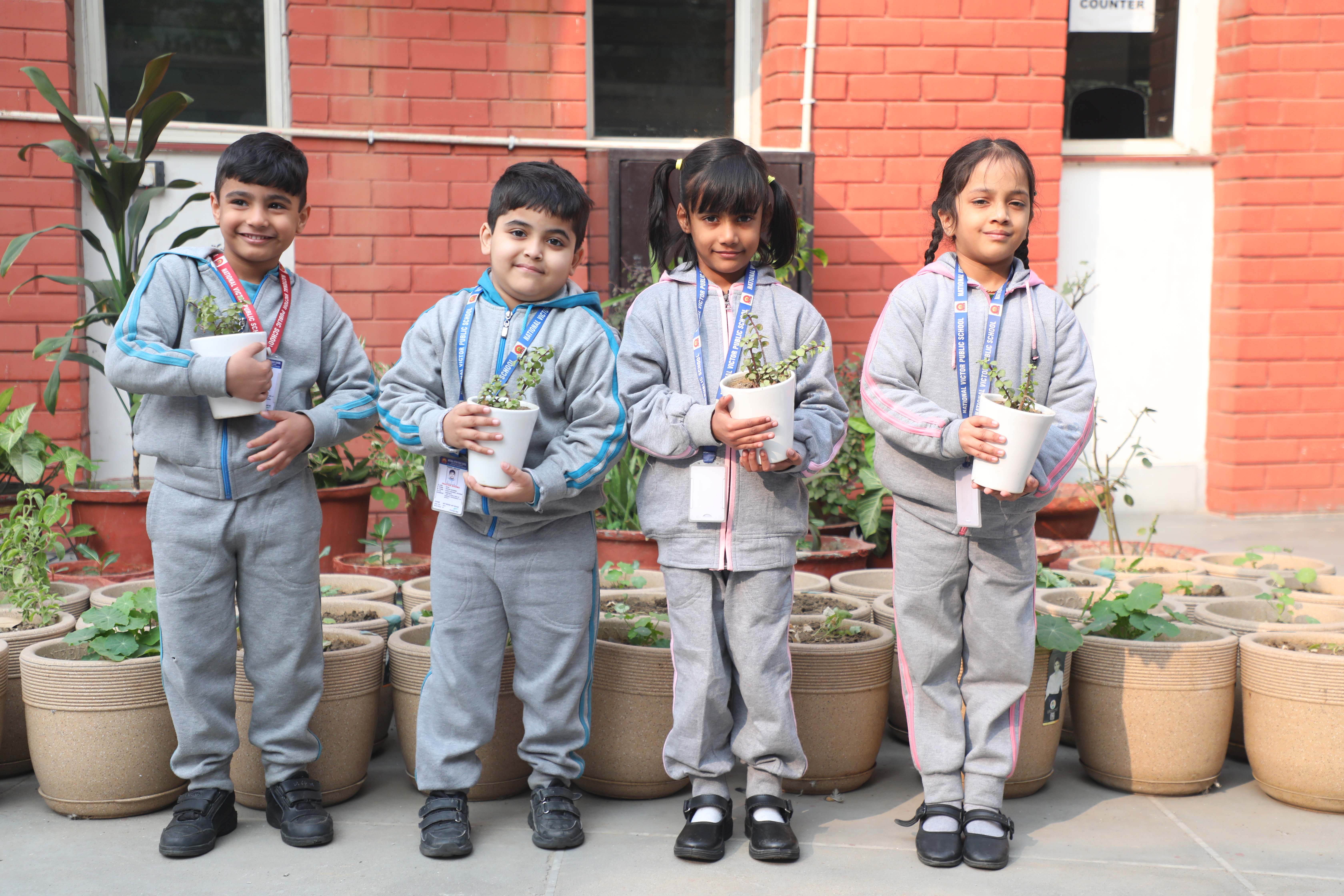 NVPS School